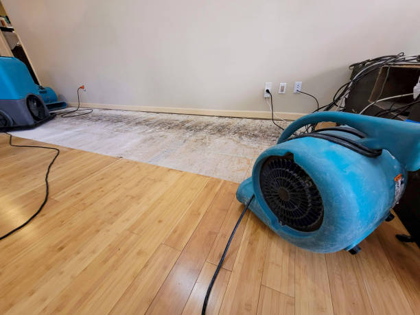 Professional Emergency Water Damage technician working in Freehold, NJ